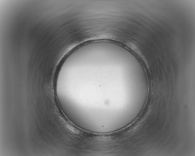 X0000066950789200604142048