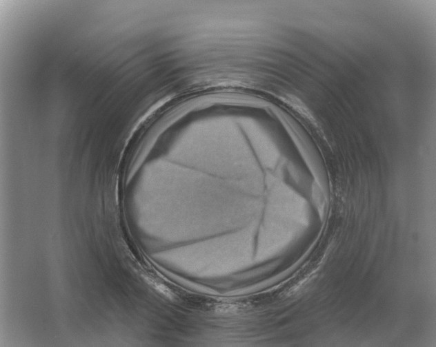 X0000066950790200604142048