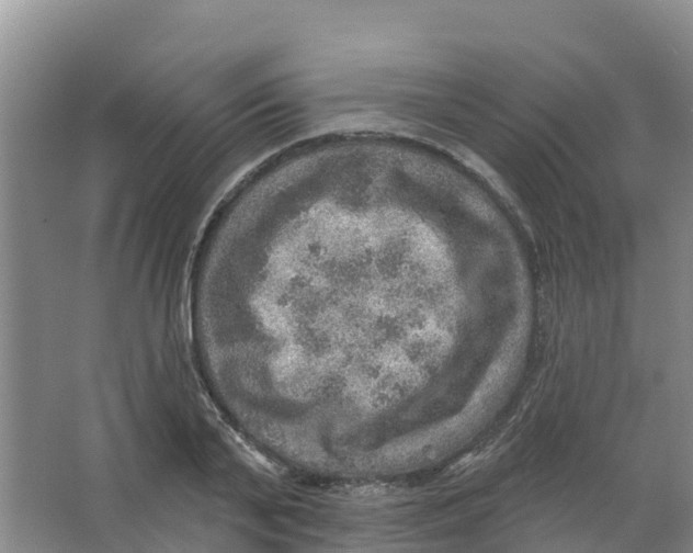 X0000066950791200604142048