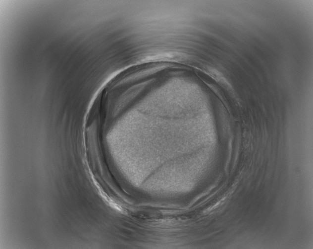 X0000066950792200604142048