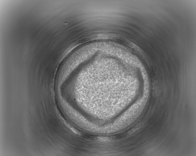 X0000066950794200604142048