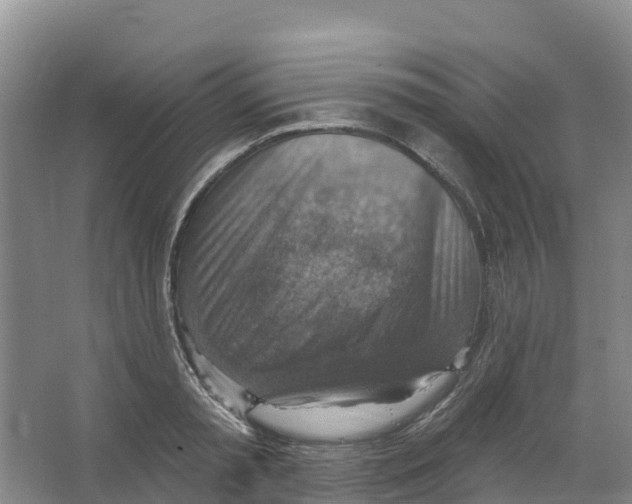 X0000066950797200604142048