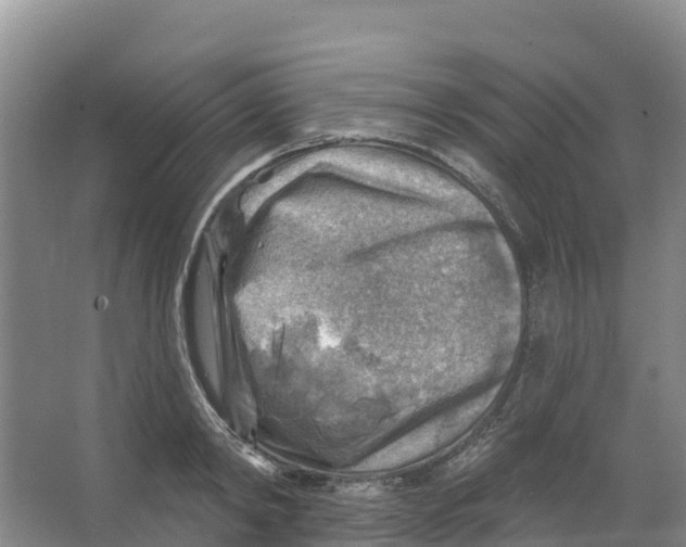 X0000066950798200604142048