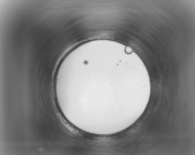 X0000066950800200604142048