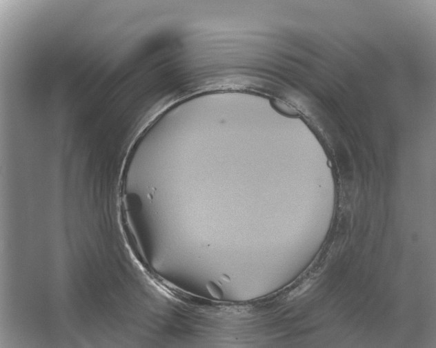 X0000066950802200604142048