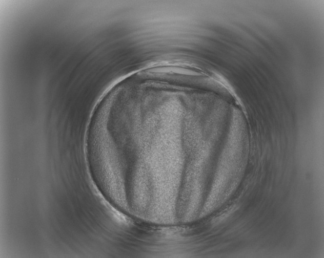 X0000066950803200604142048