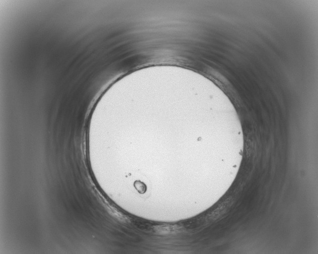 X0000066950804200604142048