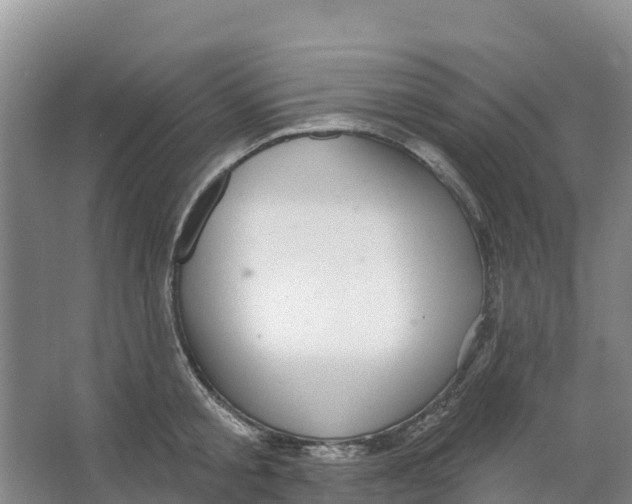 X0000066950805200604142048