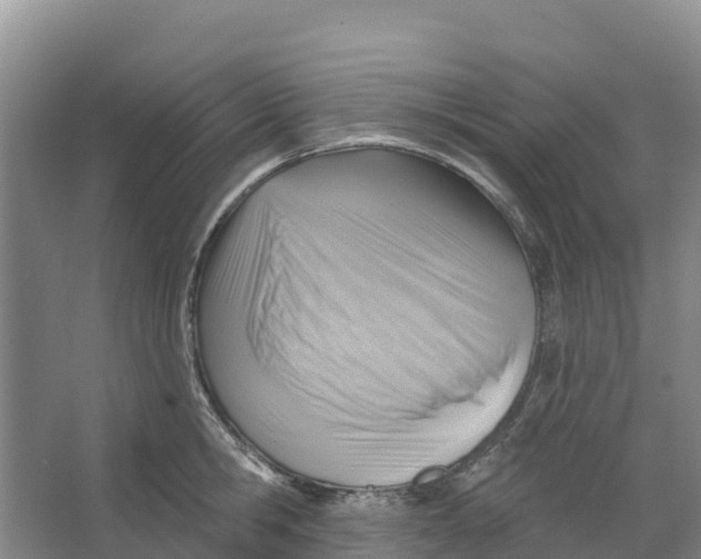 X0000066950806200604142048