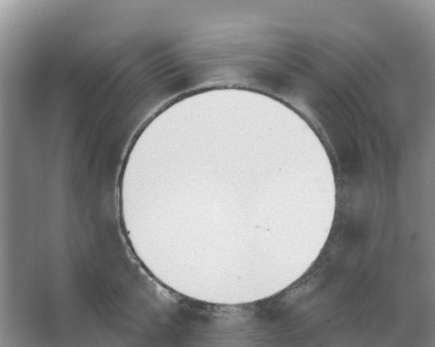 X0000066950807200604142048