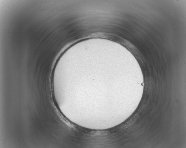 X0000066950808200604142048