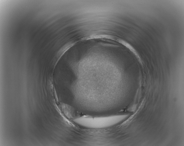 X0000066950809200604142048