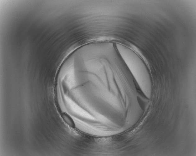 X0000066950810200604142048