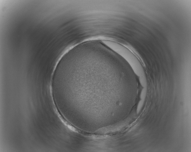 X0000066950813200604142048