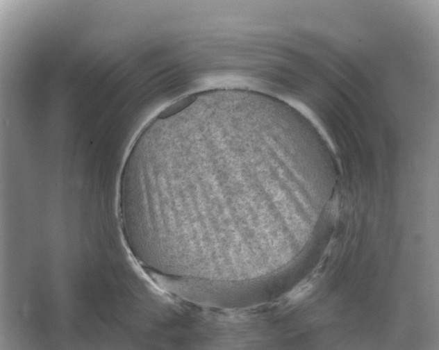 X0000066950815200604142048