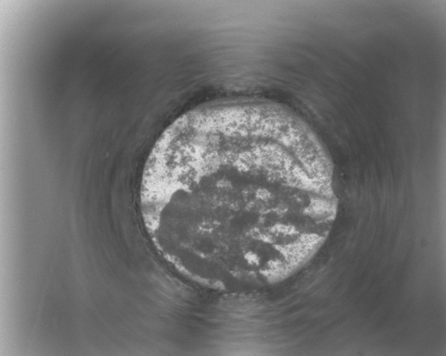 X0000066950817200604142047