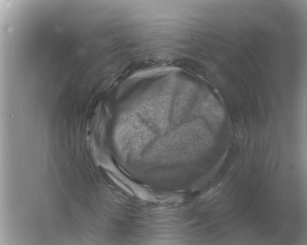 X0000066950818200604142047