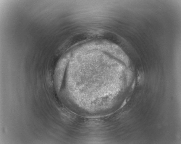 X0000066950819200604142047