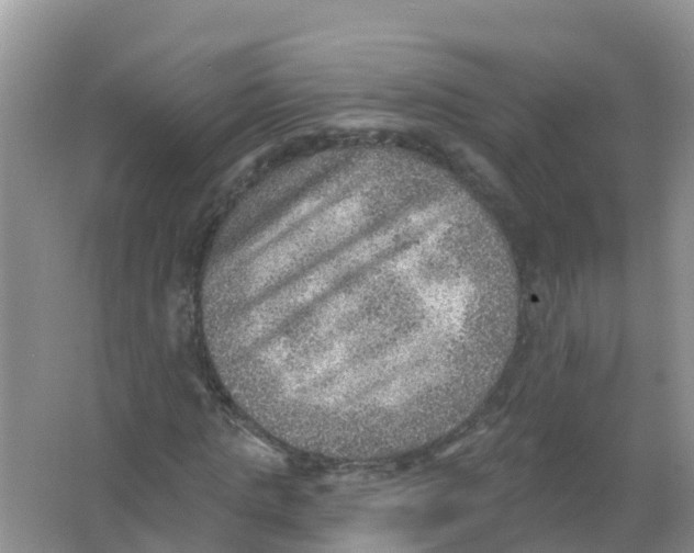 X0000066950821200604142047