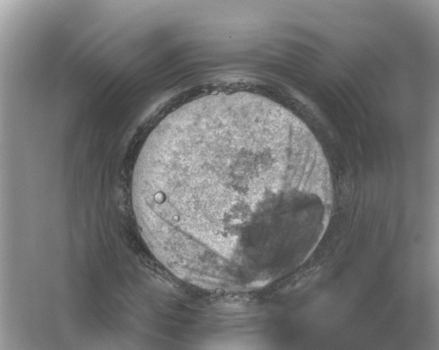 X0000066950823200604142047