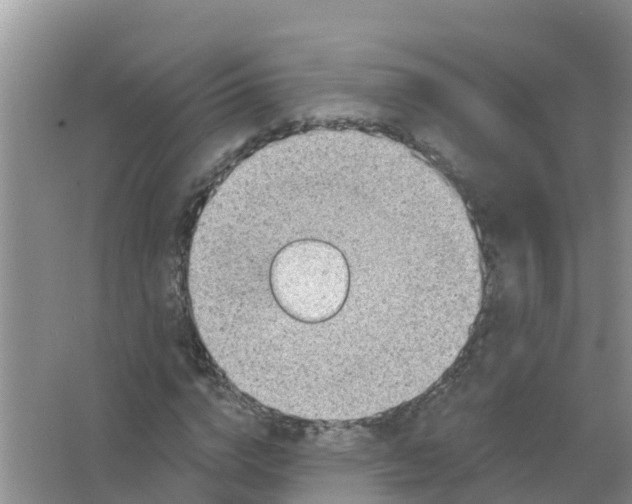 X0000066950824200604142047