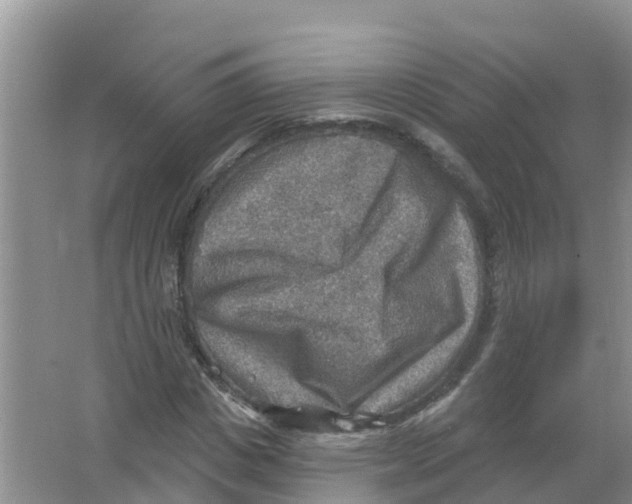 X0000066950825200604142047