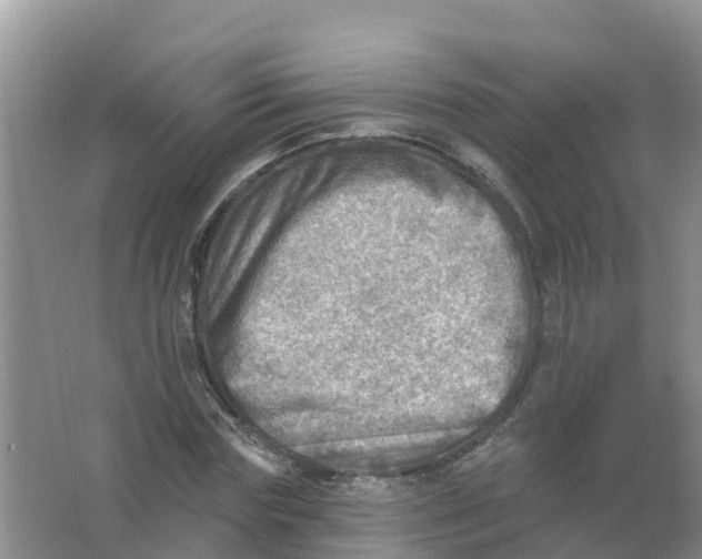 X0000066950827200604142047