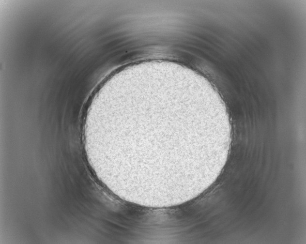 X0000066950828200604142047