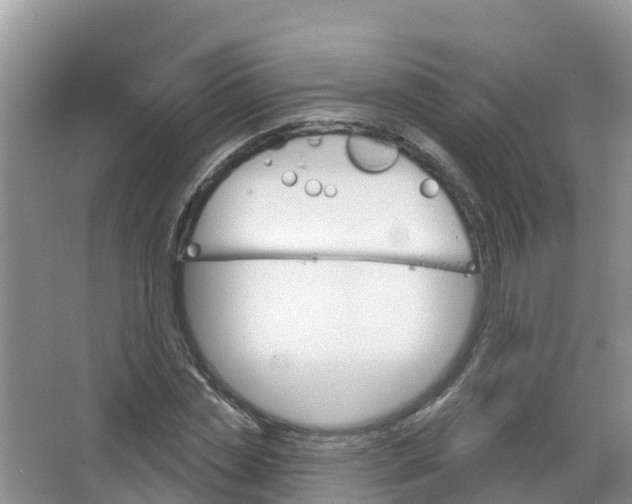 X0000066950829200604142047