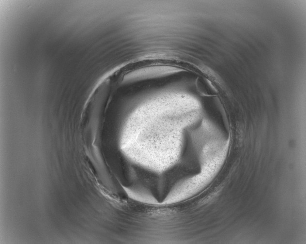 X0000066950830200604142047