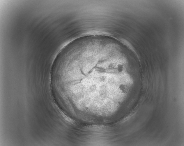 X0000066950831200604142047