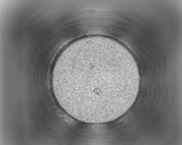 X0000066950832200604142047