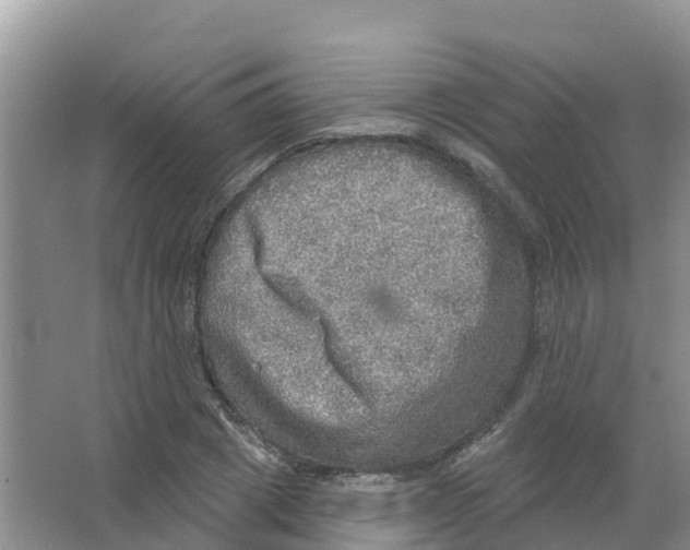 X0000066950833200604142047