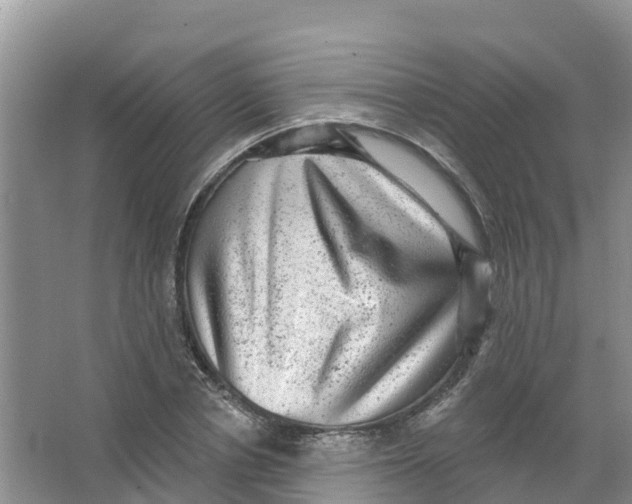 X0000066950834200604142047