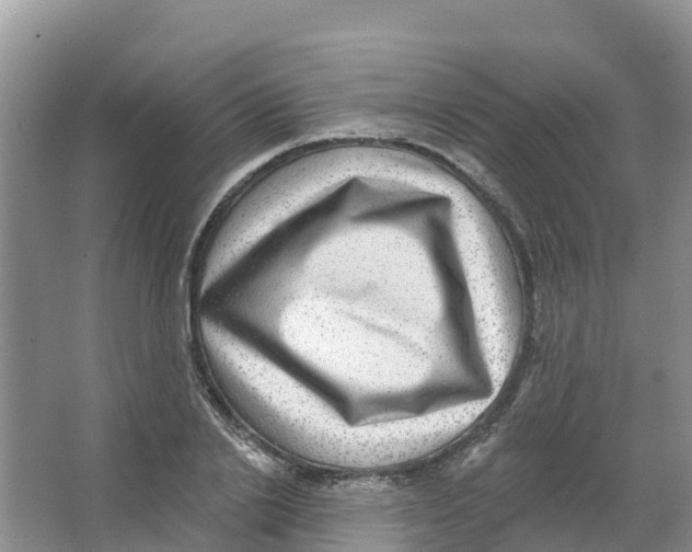 X0000066950838200604142047