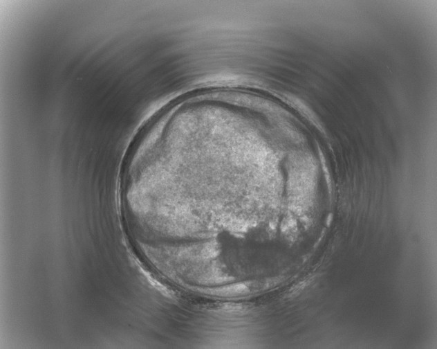 X0000066950839200604142047