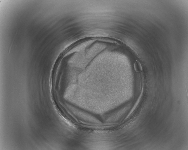 X0000066950840200604142047