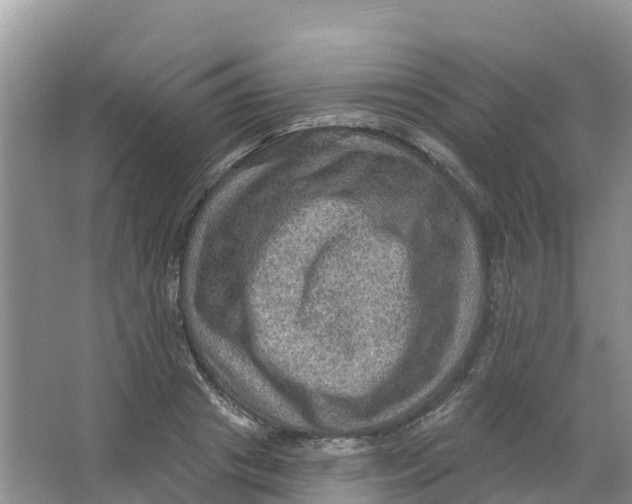 X0000066950841200604142047