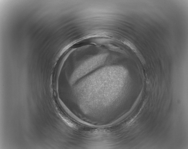 X0000066950842200604142047