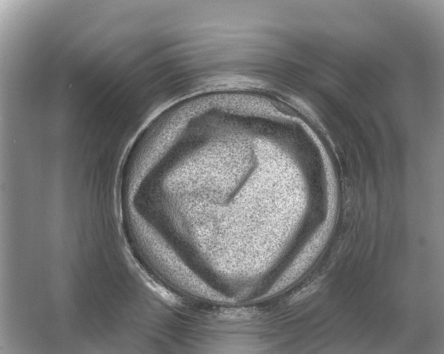 X0000066950843200604142047