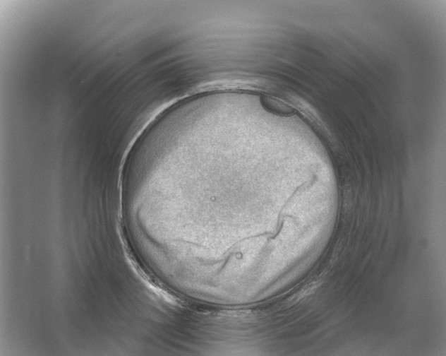 X0000066950844200604142047