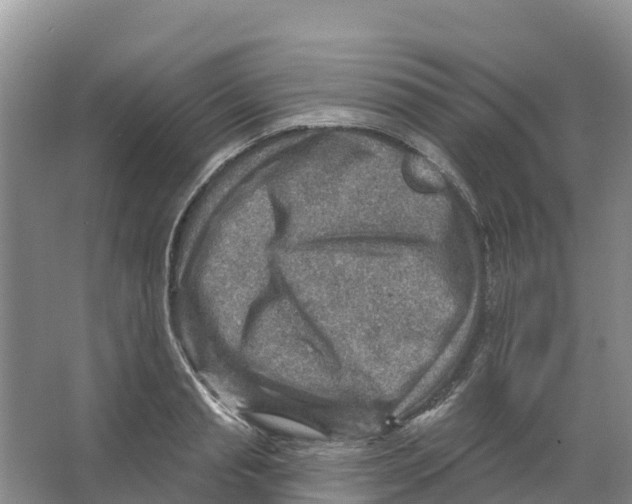 X0000066950845200604142047