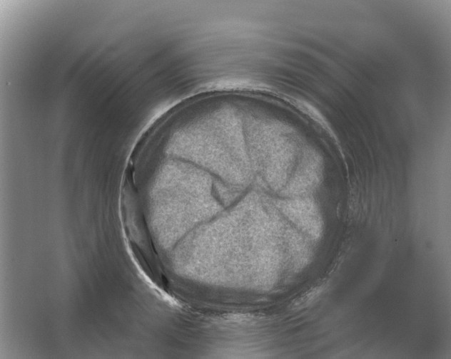 X0000066950847200604142047