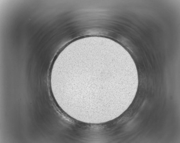 X0000066950848200604142047