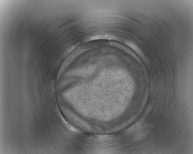 X0000066950849200604142047