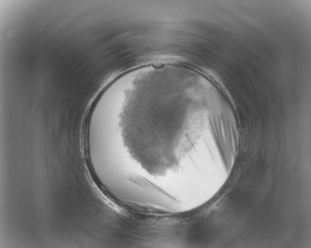 X0000066950851200604142047