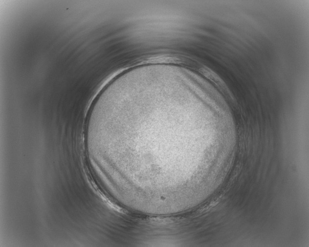 X0000066950852200604142047