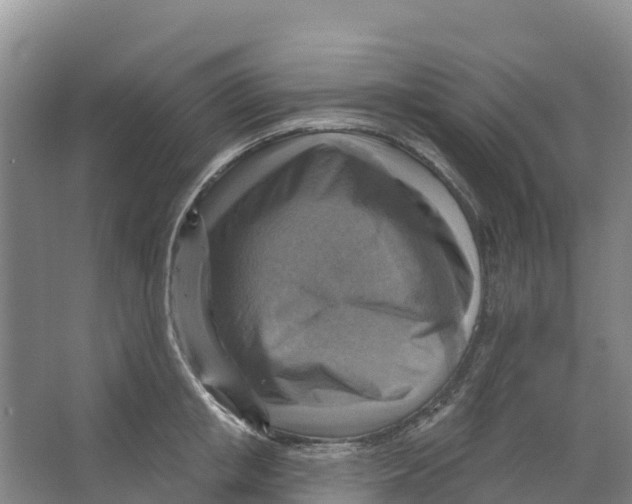 X0000066950853200604142047