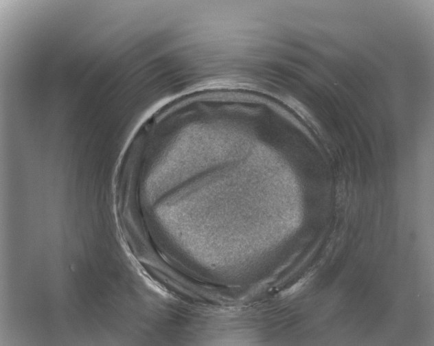 X0000066950854200604142047