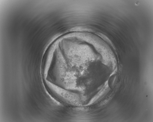 X0000066950855200604142047